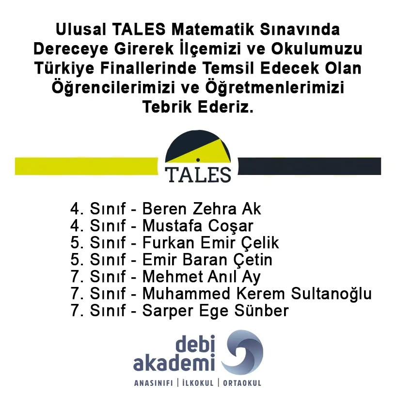 Ulusal TALES Matematik Sınavında Türkiye Finallerine Yükselen Başarı